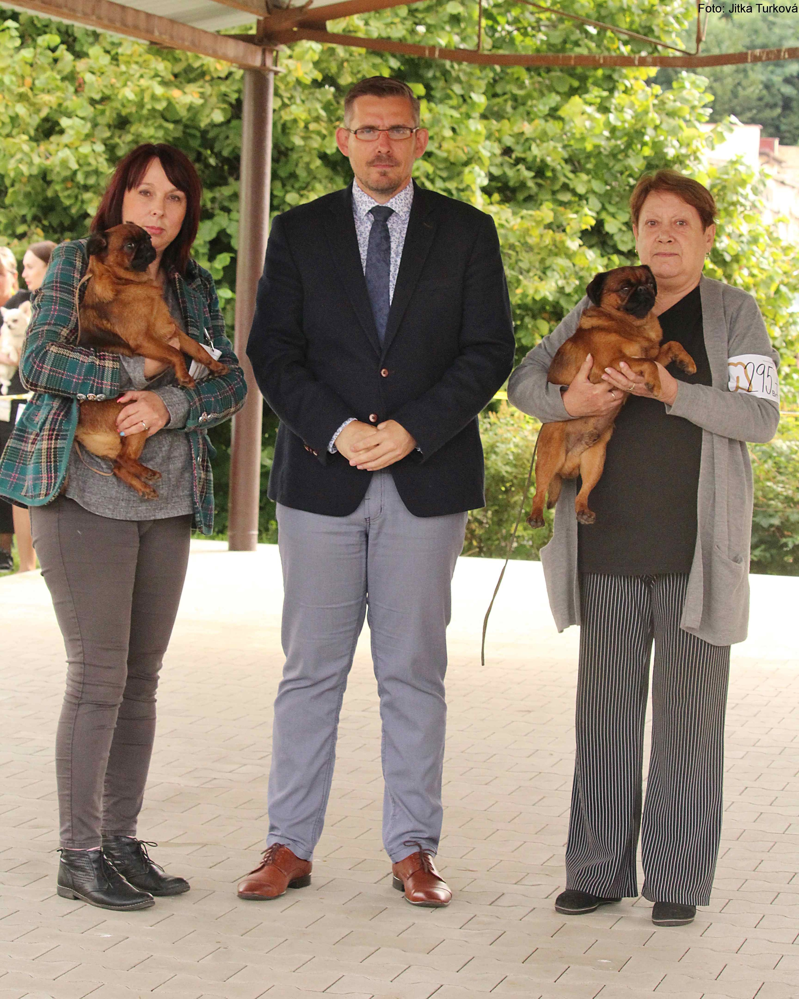 MVP Mlad� Boleslav