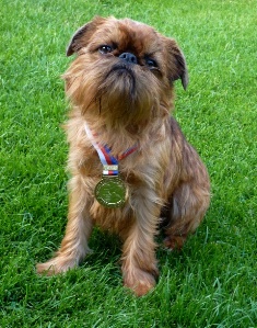 Lilli Litomerice CAJC, BOJ.