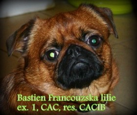 Bastien Prague Expo Dog