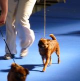 Bast�k v kruhu MVP Praha 2012